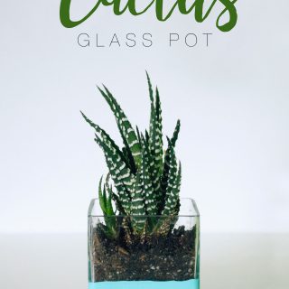 Cactus Glass Pot